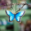Blue Butterfly - Christmas tree ornament 10 cm