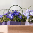 Kék árnyalatú virágok mini kosárban
