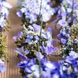 Bouquet in basket - In shades of blue