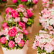 Rózsaszín virágok kosárkában