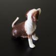 Beagle - dog for dollhouse Beagle - dog for dollhouse