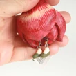 Amaryllis flower fairy - decoration