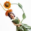 Sunflower - flower fairy Sunflower - flower fairy