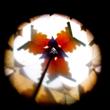 Kaleidoszkóp - Csillagok Kaleidoszkóp - Csillagok