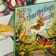Butterflies and dragonflies - 10pcs set Butterflies and dragonflies - 10pcs set
