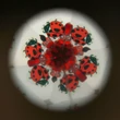 Ladybird Kaleidoscop