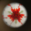 Kaleidoszkóp - feslő rózsabimbó grafikával