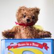 Bear in the music box Bear in the music box