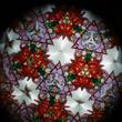 Octa-Kaleidoscop Octa-Kaleidoscop