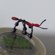 Ladybird - wire puppet Ladybird - wire puppet