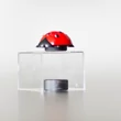 Magnetic ladybird