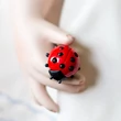 Magnetic ladybird