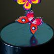 Papillion - magnetical toy Papillion - magnetical toy
