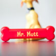 Mr. Mutt - magnetic dog with bone