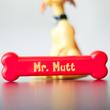 Mr. Mutt - Mágneses kutya csonttal Mr. Mutt - Mágneses kutya csonttal
