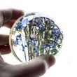 NEFELEJCS csokor - acryl gömbben - 65 mm NEFELEJCS csokor - acryl gömbben - 65 mm