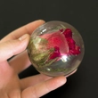 Real rosebud in acryl ball 65mm