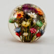 Real stawflower in acryl ball 65mm