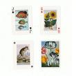 Nature French card set Nature French card set