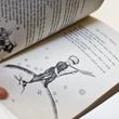 THE LITTLE PRINCE english book THE LITTLE PRINCE english book
