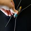 Szöcske ugró bogár - lemezjáték gumi tappanccsal Szöcske ugró bogár - lemezjáték gumi tappanccsal