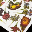 Virágkötő/virágcsokor rendező reprint antik papírjáték Virágkötő/virágcsokor rendező reprint antik papírjáték
