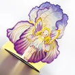 Flower fairies 3D greeting cards