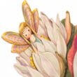 Water Lily fairy 3D card