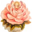 Rose fairy 3D card Rose fairy 3D card
