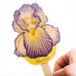 Iris fairy 3D card