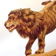 Lion swinging card with envelope Lion swinging card with envelope