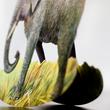 ELEFANT HINTAZO ELEFANT HINTAZO