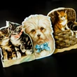 Pets 3 different greeting cards