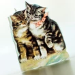 Pets 3 different greeting cards