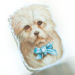 Pets 3 different greeting cards