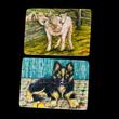 PUZZLE 2 PUZZLE 2