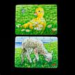 Domestic animals puzzle Domestic animals puzzle