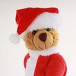 Bear Santa Bear Santa