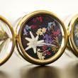 Edelweiss - musical decoration with real flower Edelweiss - musical decoration with real flower