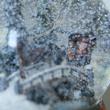 Horse sleigh - musical snowglobe Horse sleigh - musical snowglobe