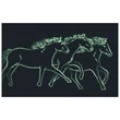 Horses Camarque musixbox-glow