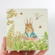 Peter the Rabbit musicbox