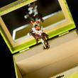 Bremen town Musicians musical jewellery box Bremen town Musicians musical jewellery box