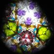 Kaleidoscop Kaleidoscop