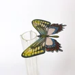 Butterflies and dragonflies - 10pcs set