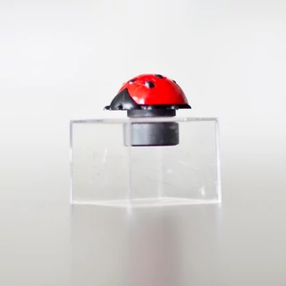 Mágneses mini katica Mágneses mini katica