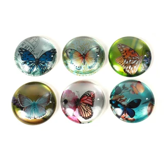 Hűtőmágnes pillangós képpel Hűtőmágnes pillangós képpel