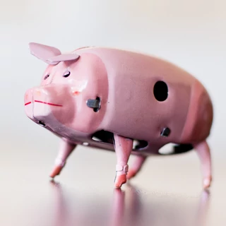 POLLY ROZSASZIN MALAC POLLY ROZSASZIN MALAC