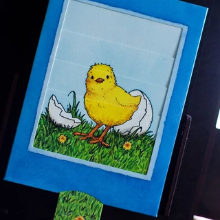 A tojás titka a csibe   változó képeslap A tojás titka a csibe   változó képeslap