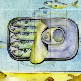 Halkonzerv  változó képeslap